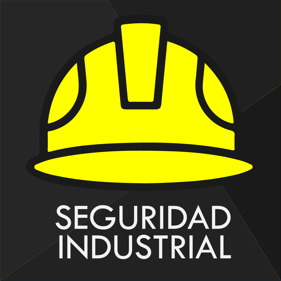 SEGURIDAD